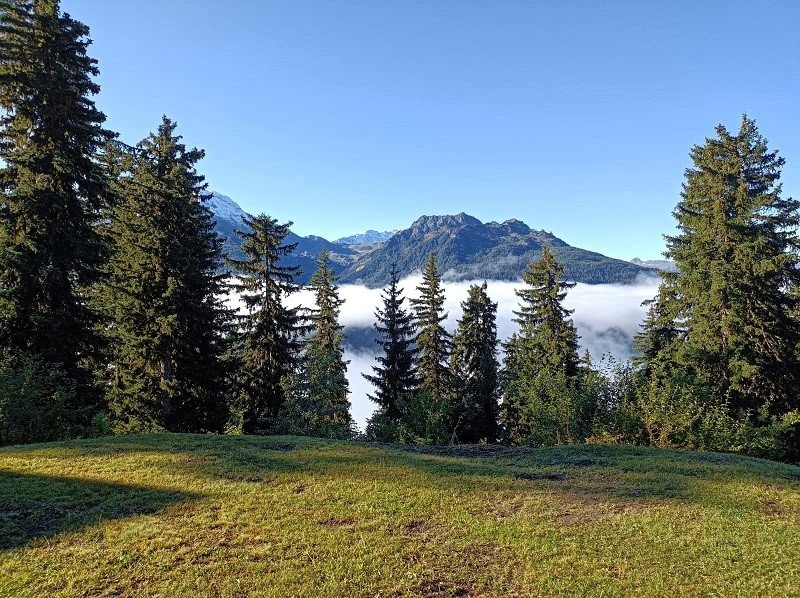 Jardin commun, Chalet Les Myriades, La Rosière, vue 1 jardin-commun-chalet-les-myriades-la-rosiere-vue-1