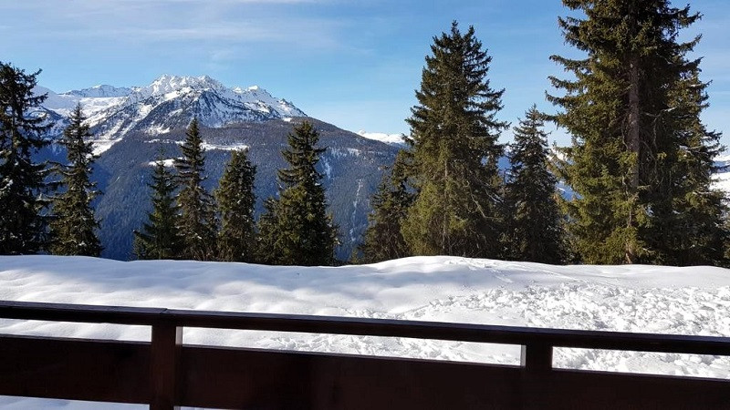 Jardin commun, Chalet Les Myriades, La Rosière, vue 2 jardin-commun-chalet-les-myriades-la-rosiere-vue-2