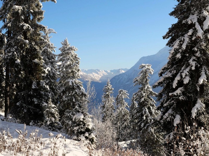Jardin commun, Chalet Les Myriades, La Rosière, vue 3 jardin-commun-chalet-les-myriades-la-rosiere-vue-3
